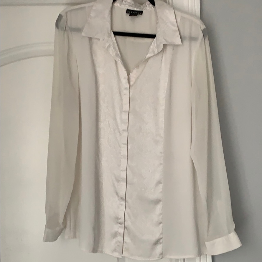 Metaphor Button Down